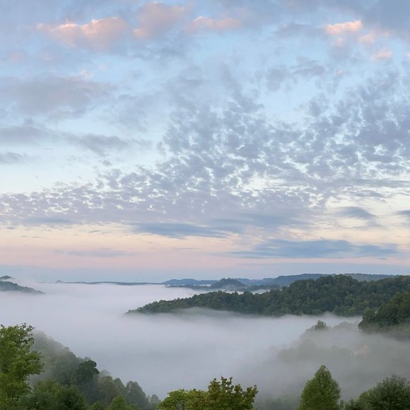 Meet  your posher, sydmo8299 - Picture 3 of 8